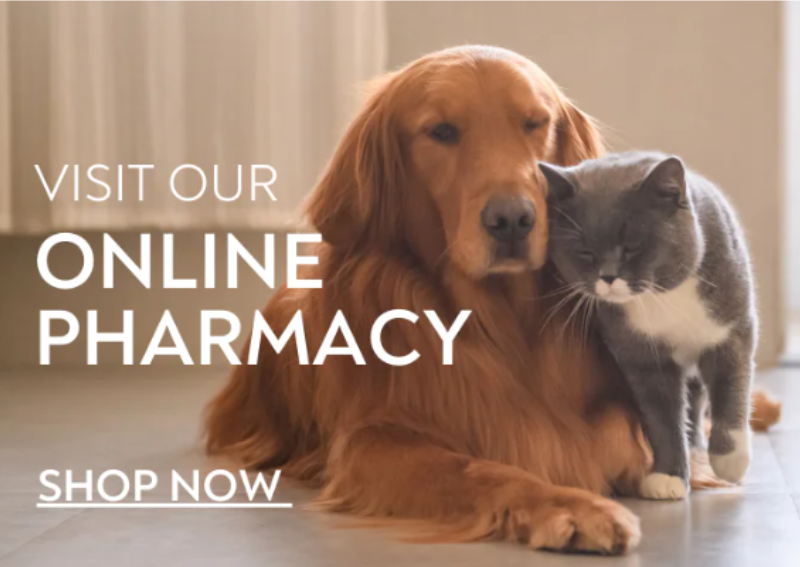 Carousel Slide 2: Check out our new online pharmacy!