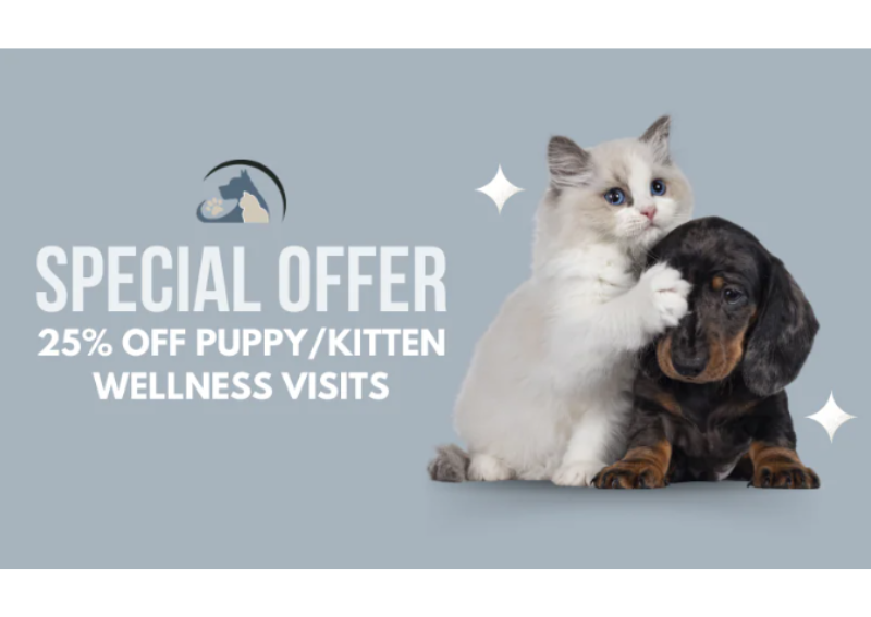 Puppy and Kitten Wellness