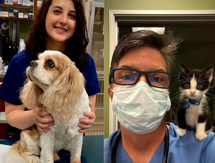 Spay & Neuter Procedures