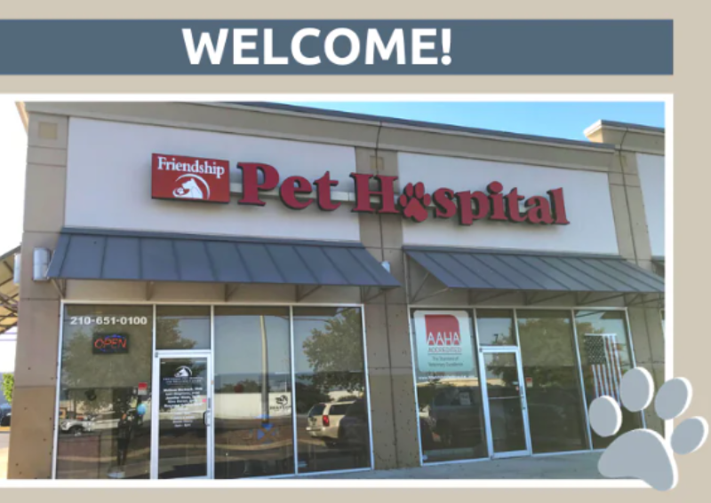 Carousel Slide 1: Friendship Pet Hospital and Wellness Center is a full service hospital prepared for wellness and urgent care serving Schertz, TX and surrounding areas. We'd be honored to be your pet's primary care doctor for vaccines, ear infections, surgeries and everything in between.