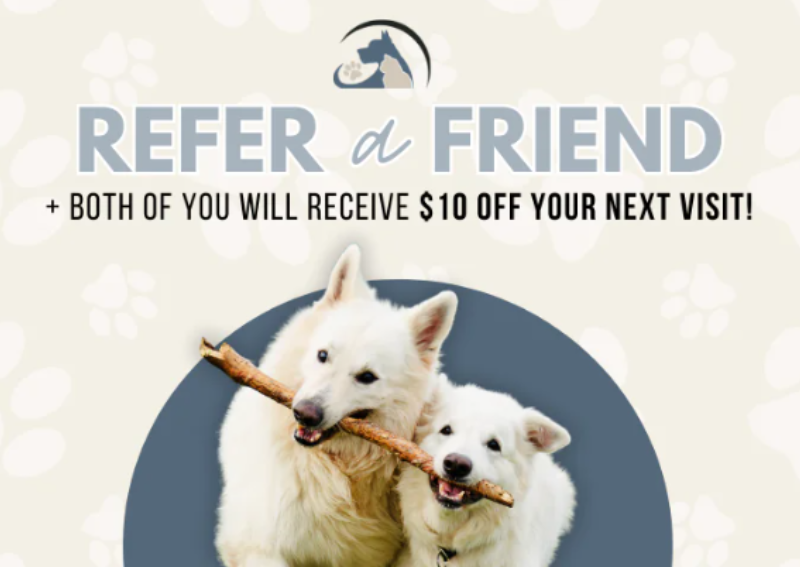 Carousel Slide 3: Spread the love! Refer a fellow pet parent to our clinic and you both will get $10 off your next visit.